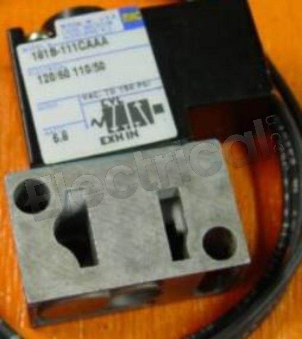 181B-111CAAA