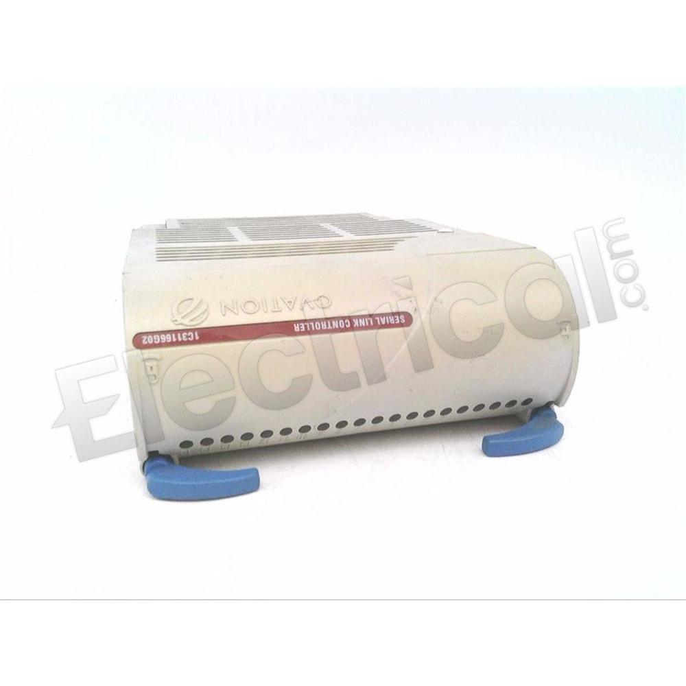 1C31166G01
