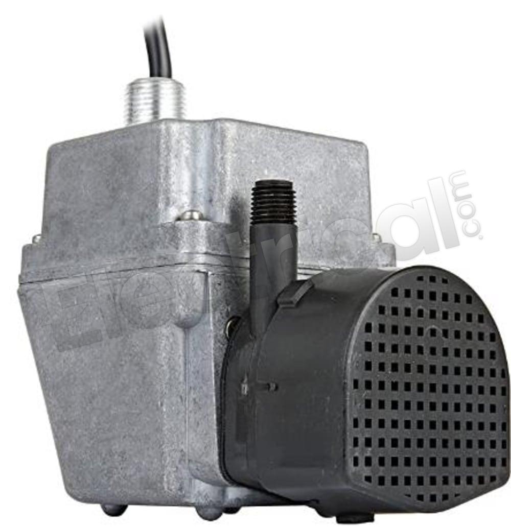 502020