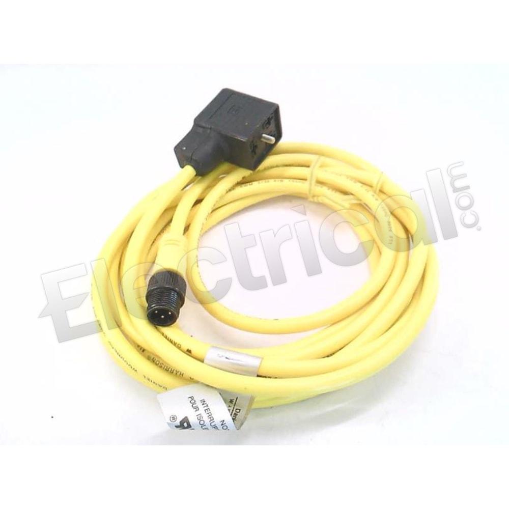 81592