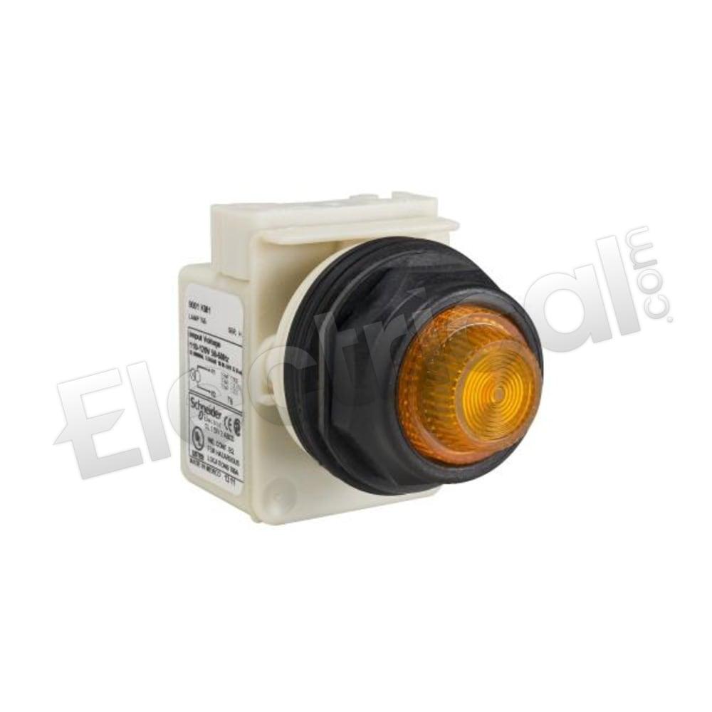 9001SKP38LYA31
