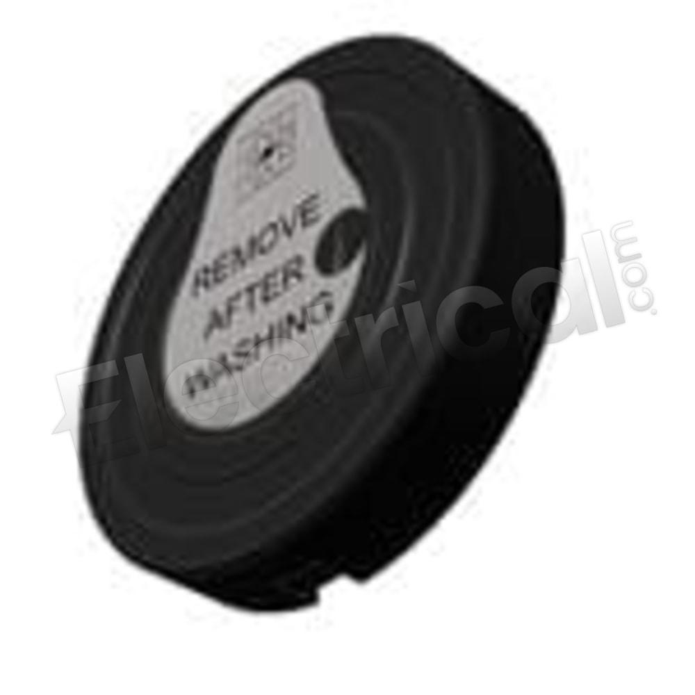 AI-2437-TWT-R