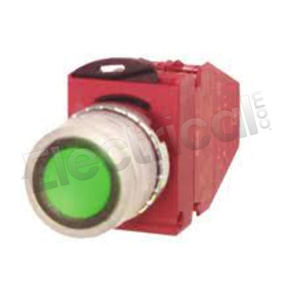 BML-GG-11-G