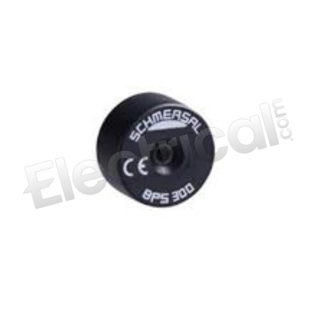 BPS 300
