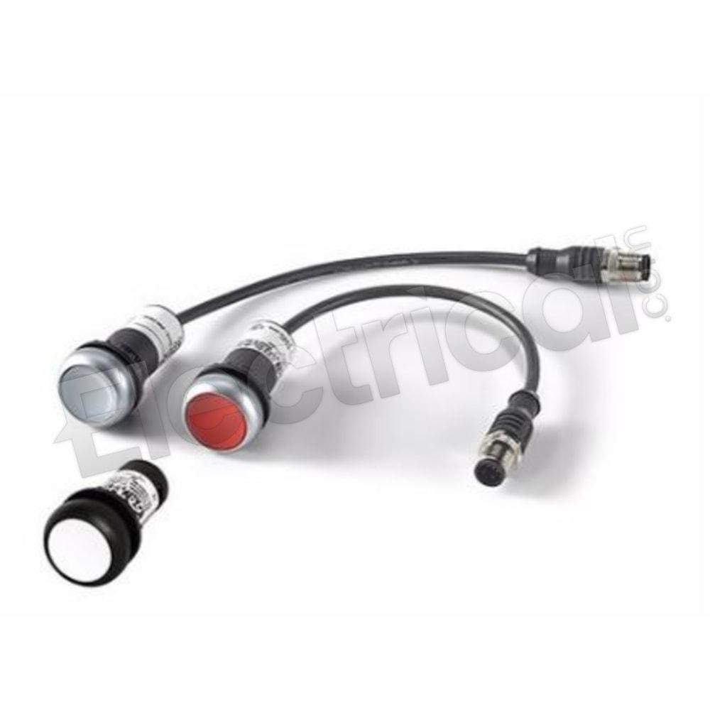 C22-WS-MS1-K10-P1