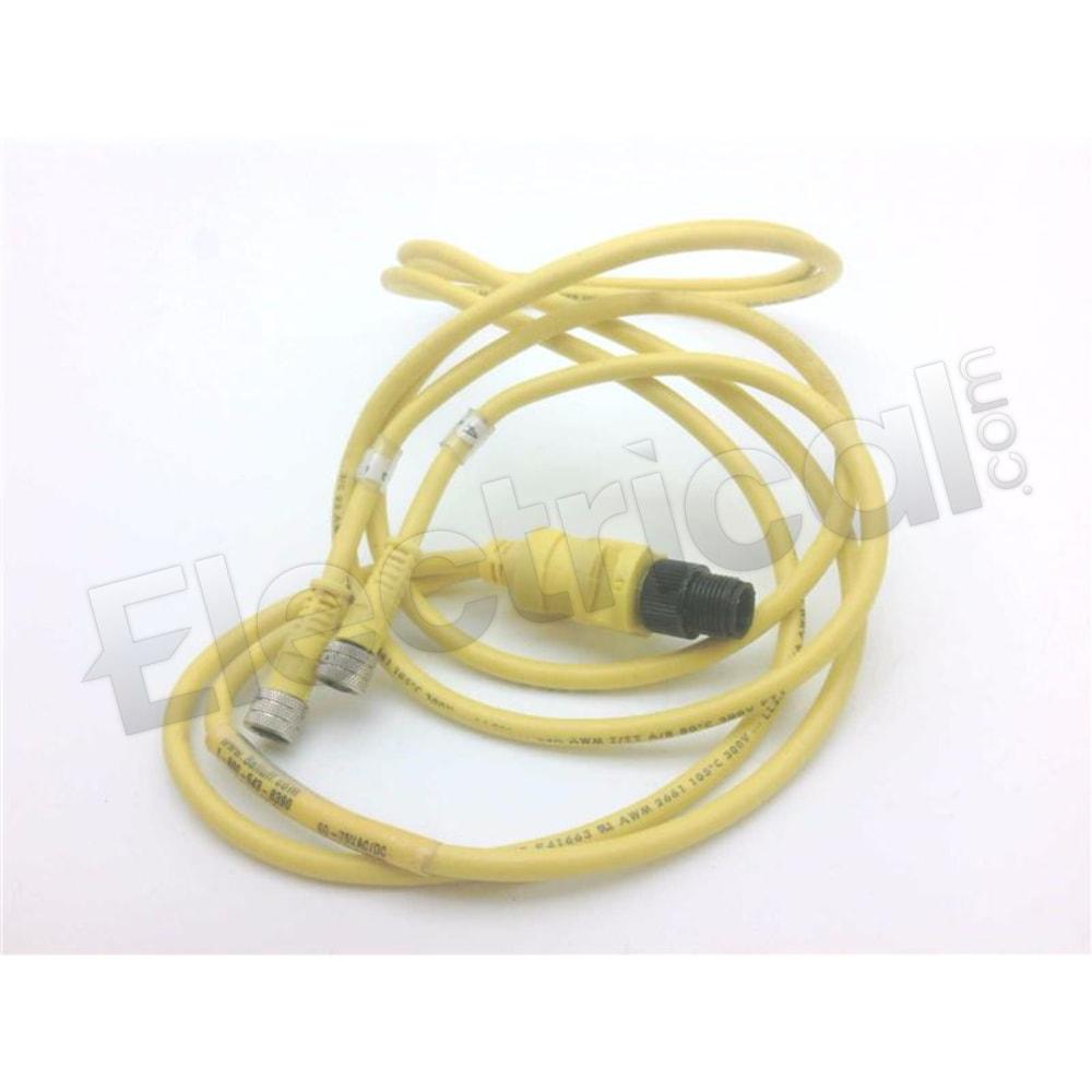 C49-ENE-04-VY-010M-V