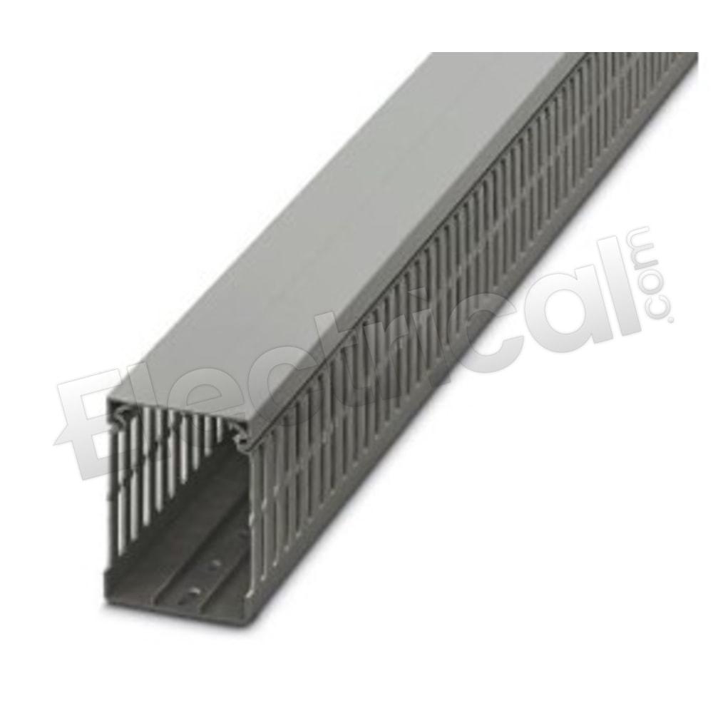 CD 60X80