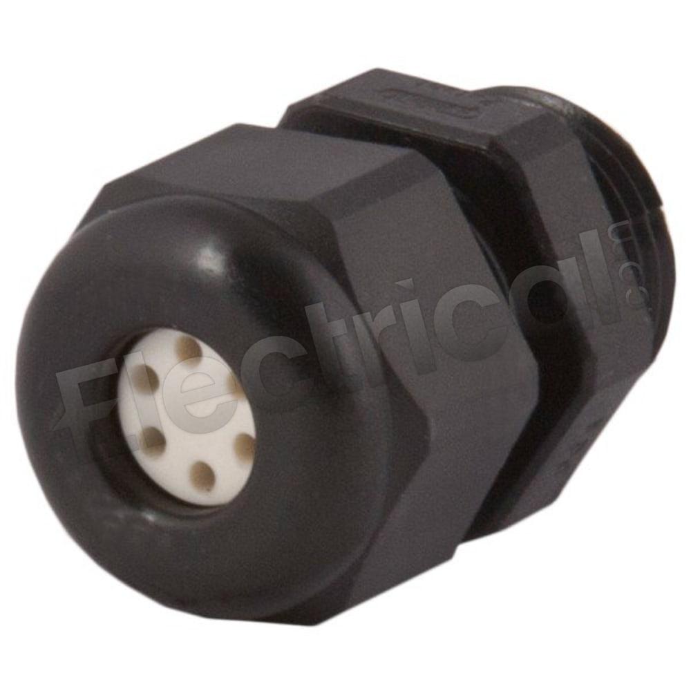 CD16N5-BK