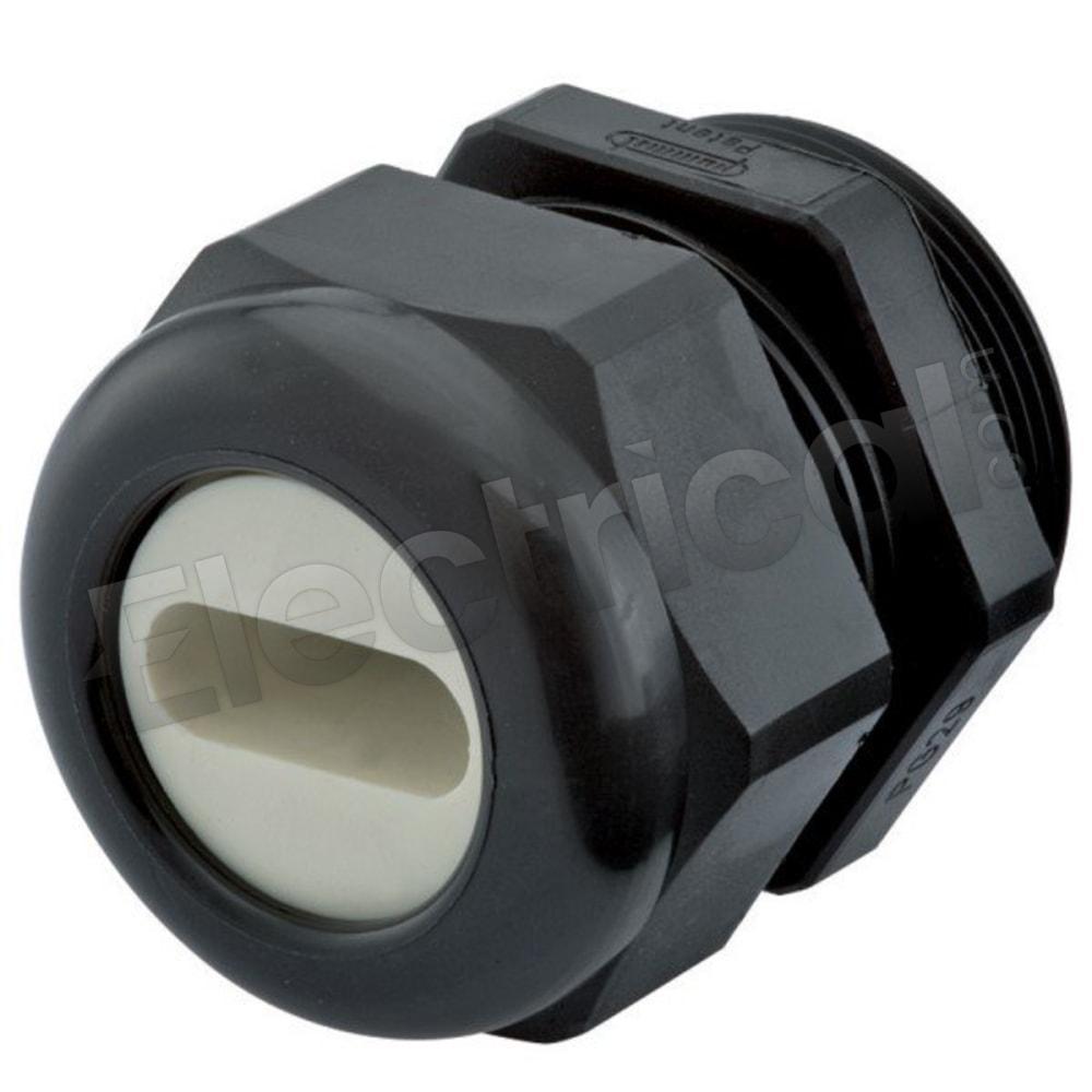 CD29NS-01
