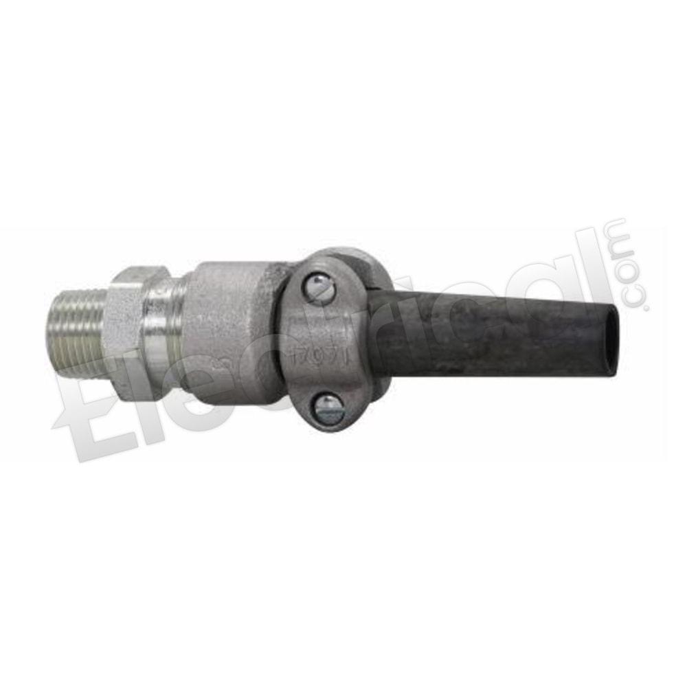 CGB1013