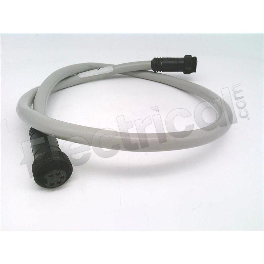 CHDN-EAE-T1