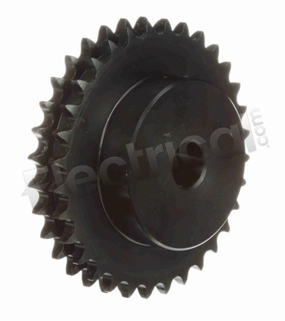 D40B19