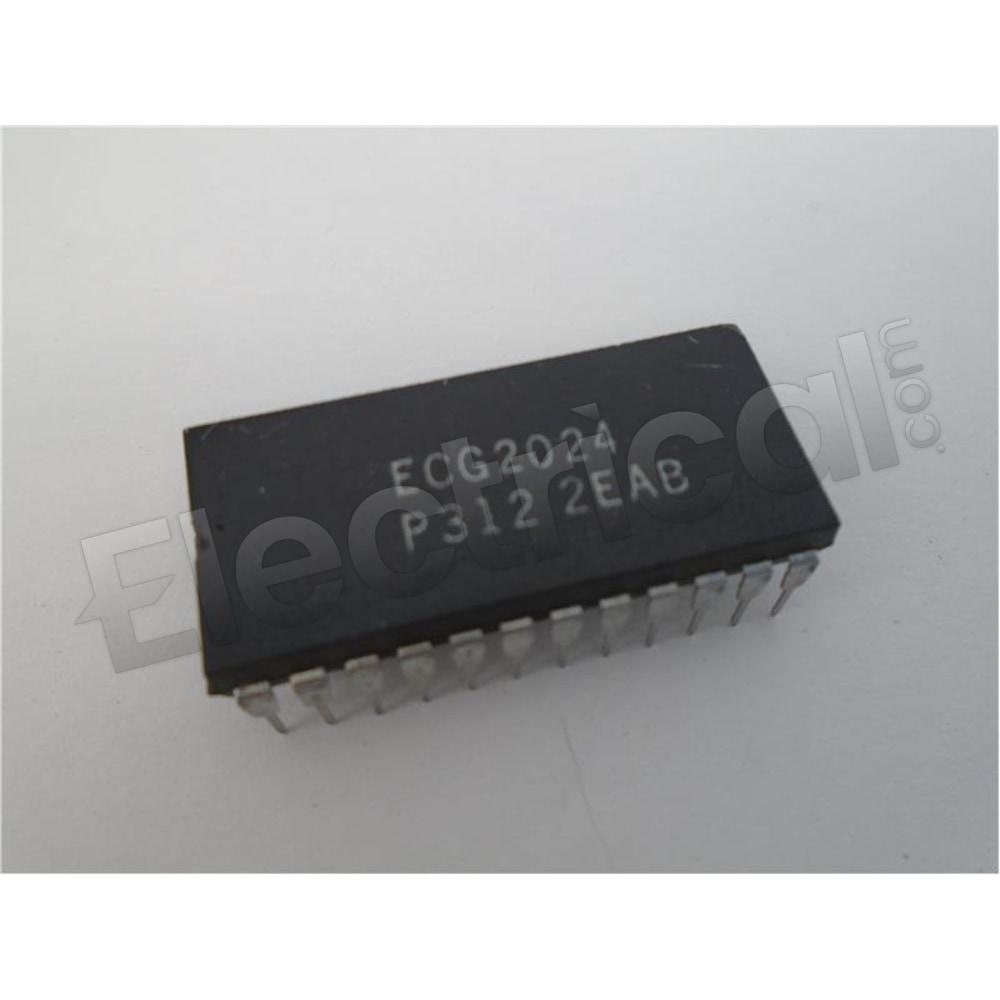 ECG2024