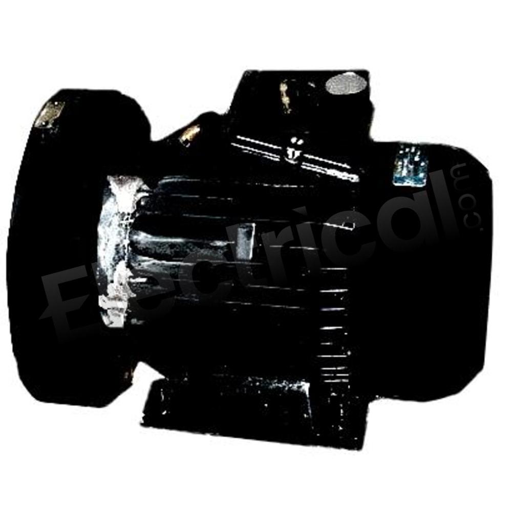 FFN 100L