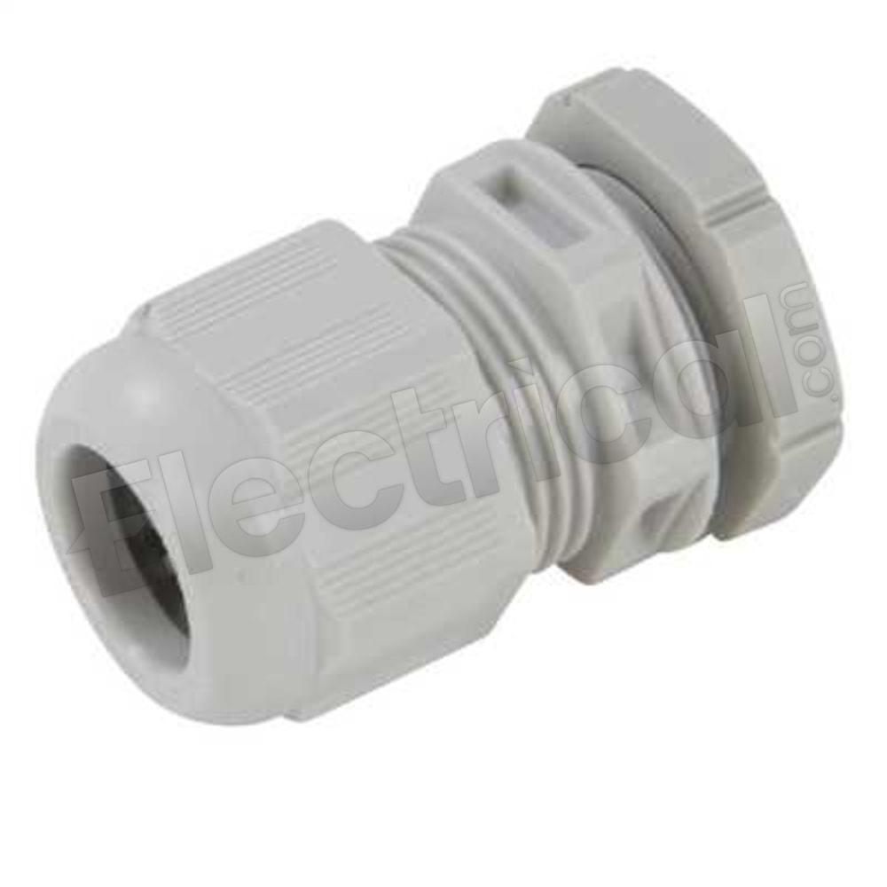 GLP20+WHITE