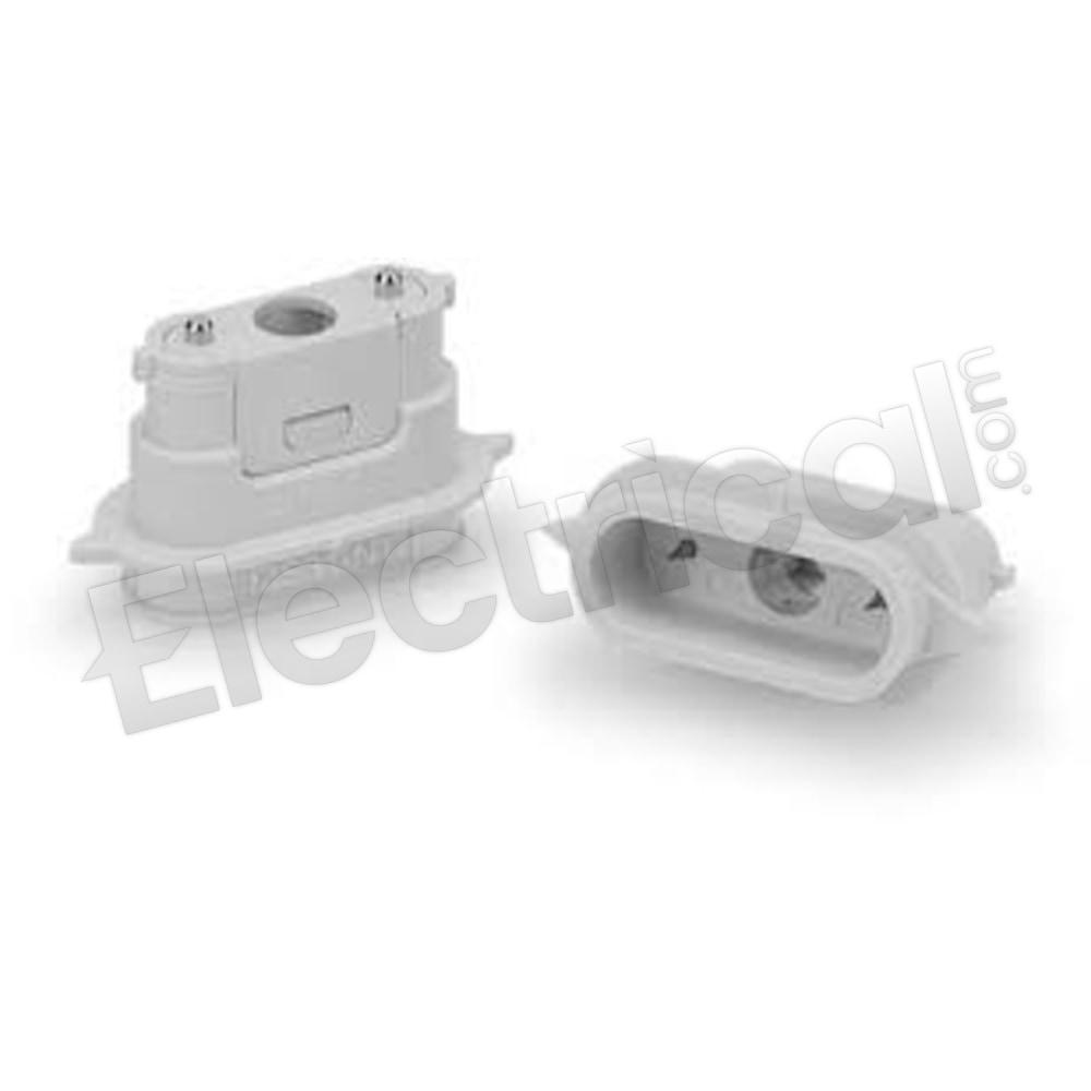 IZS31-NC
