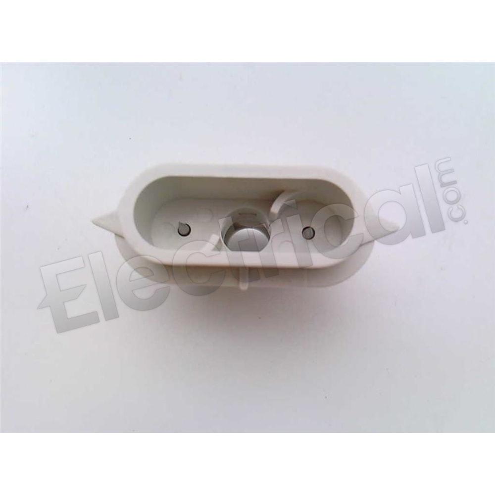 IZS31-NT