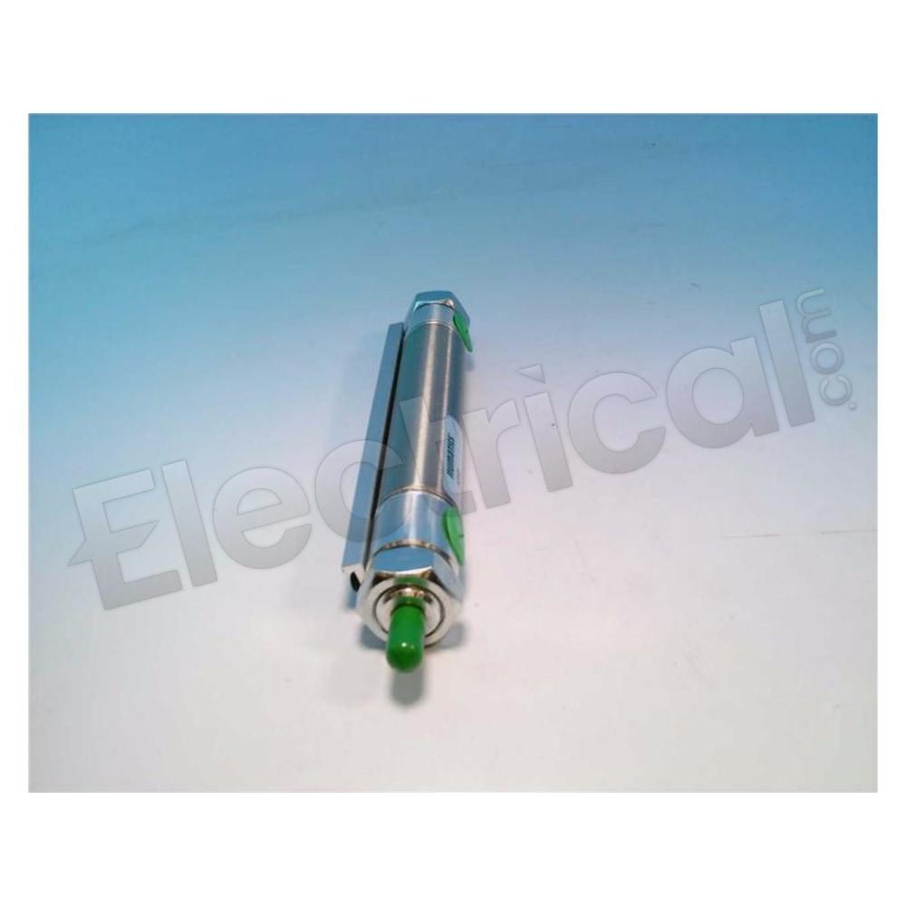 M13151