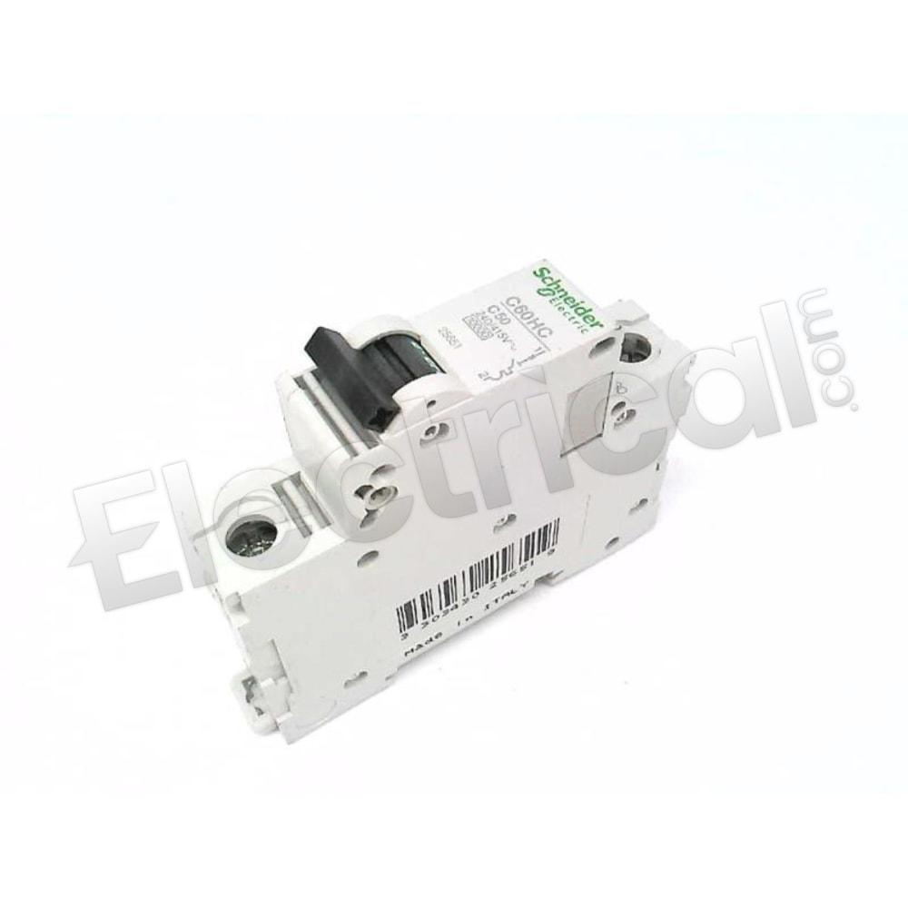 MG25651