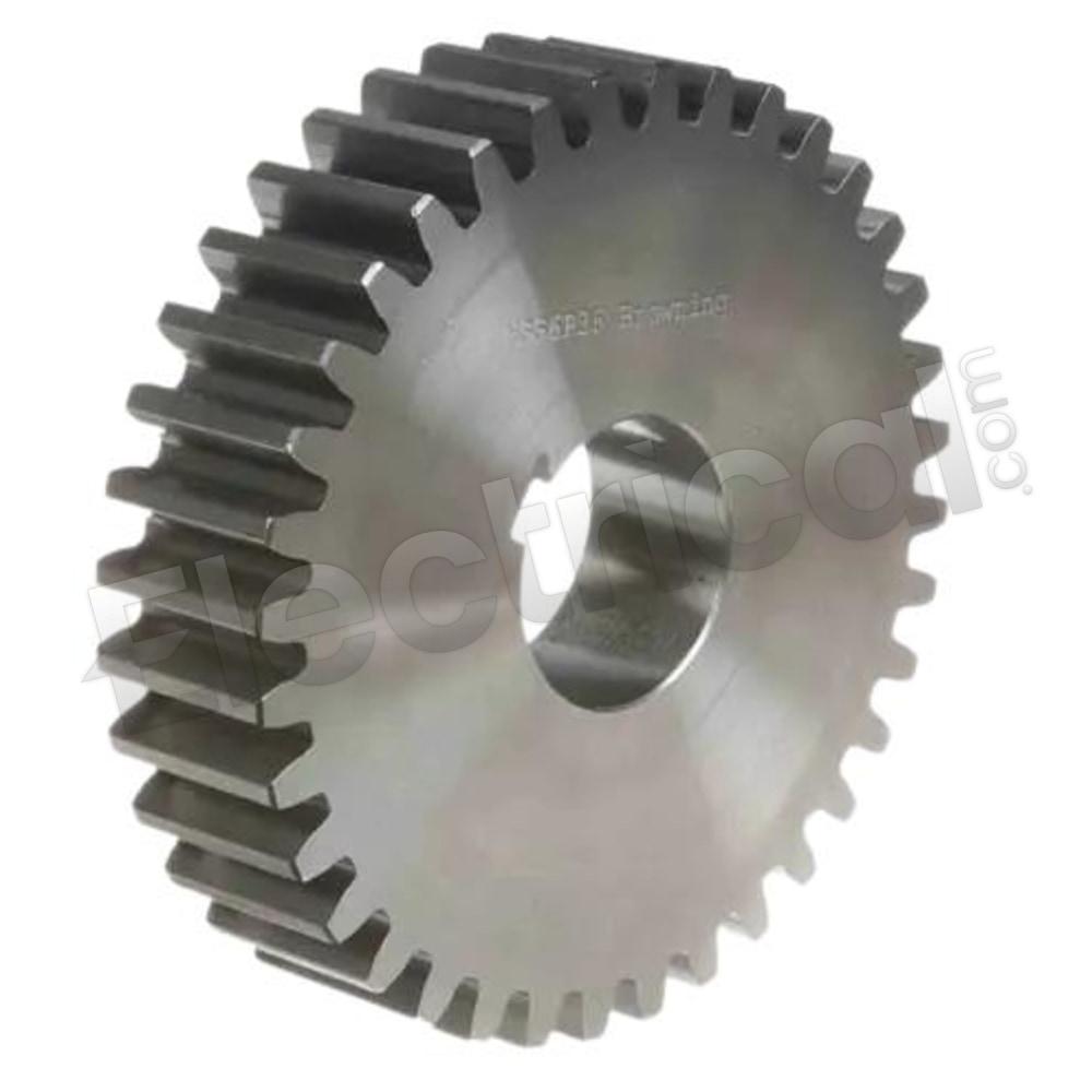 NSS6P36