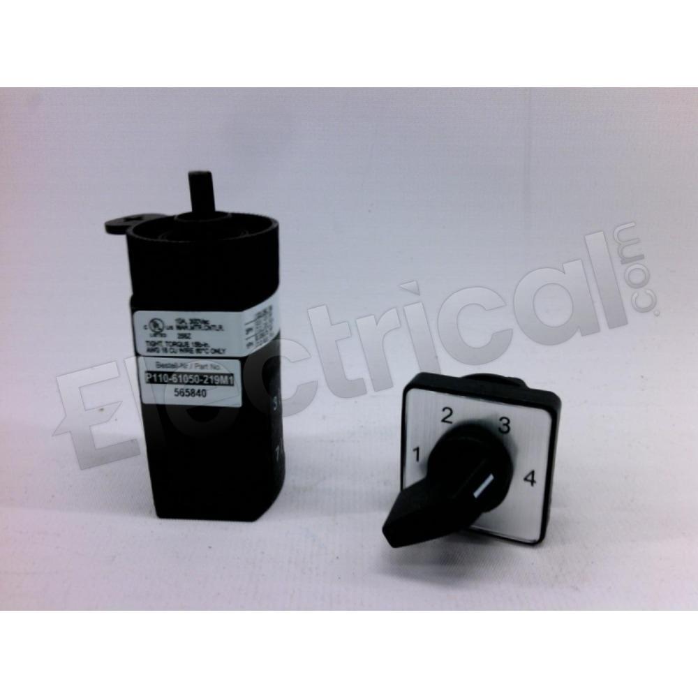 P110-61050-219M1