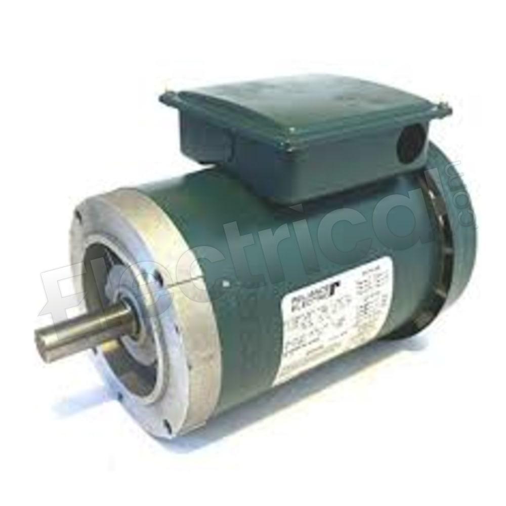 P56H1556M