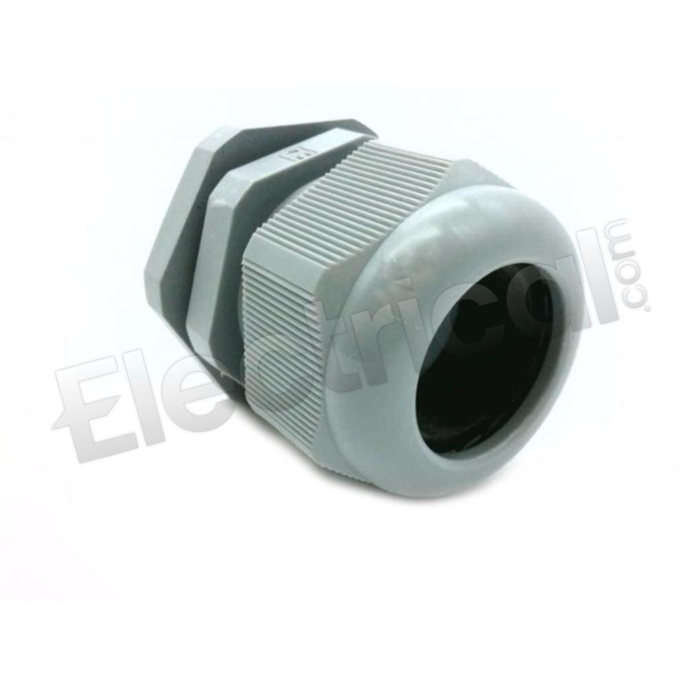 PCG-29