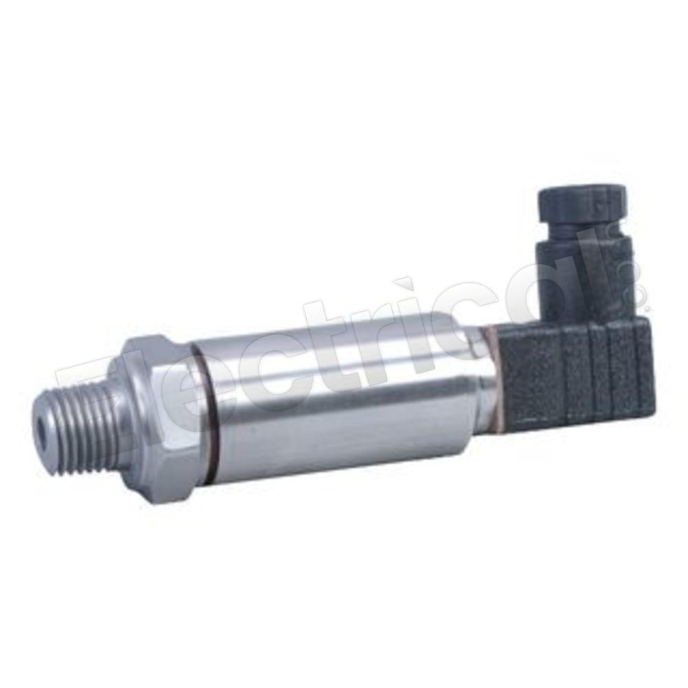 PX319-005GI