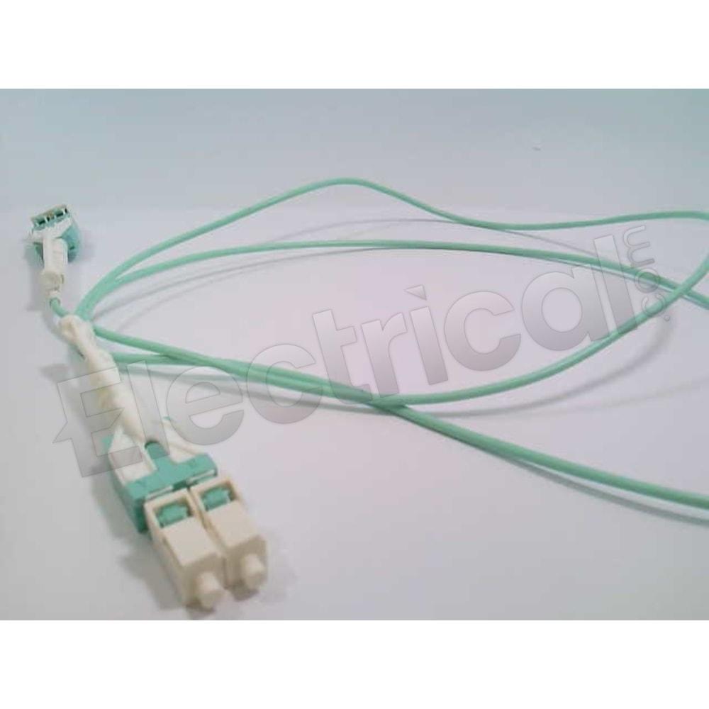 PZQ20190202026-01