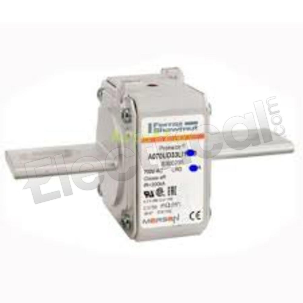Mersen Low Voltage R300234