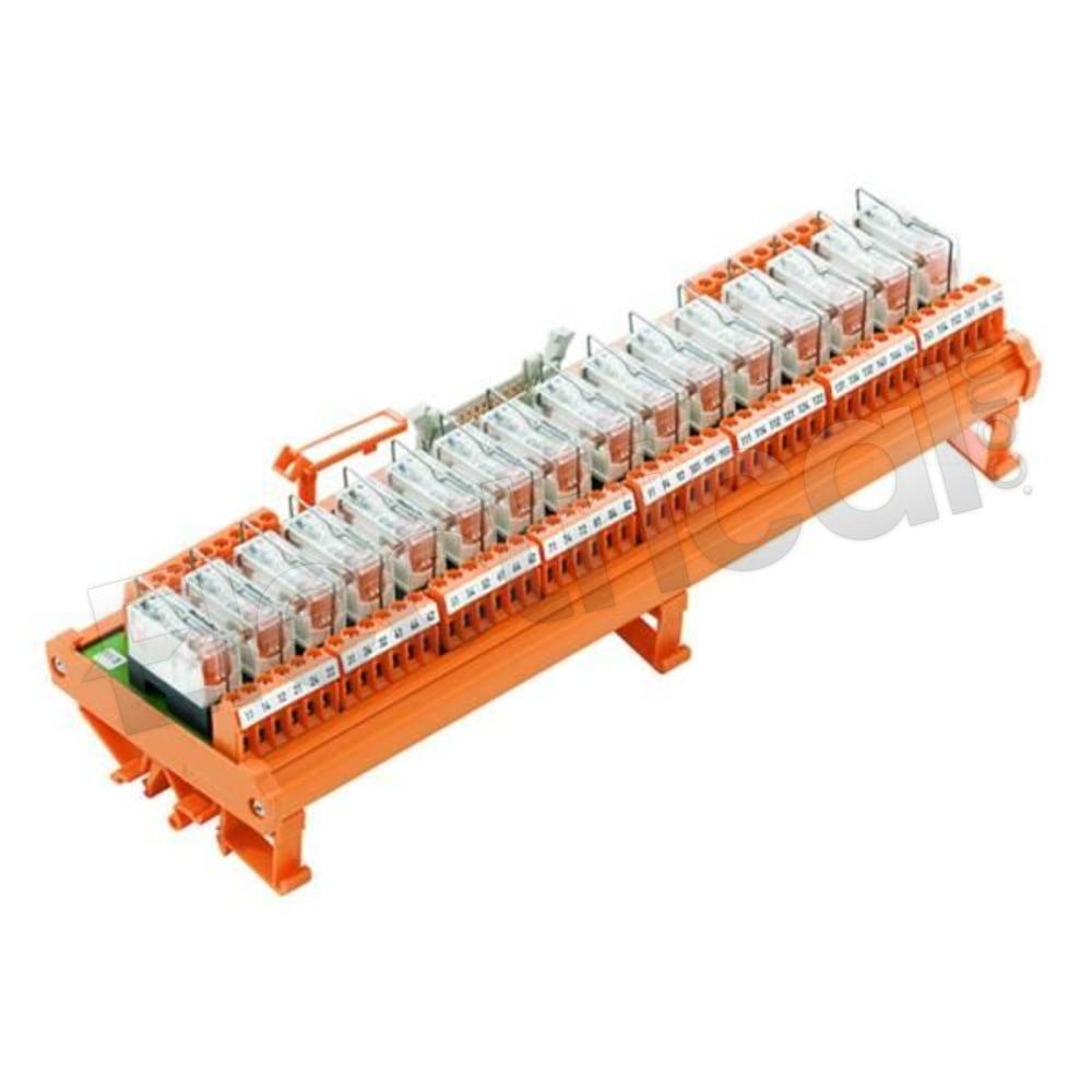 RSM-16 24V(-/+) 1CO S