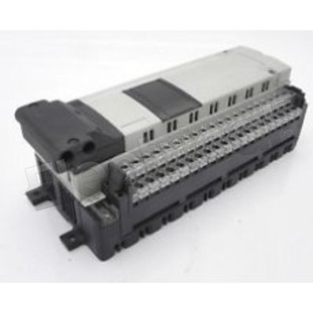 TBX-SAP-10