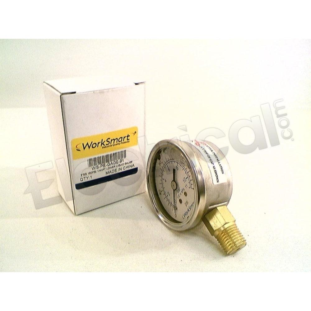 WS-PE-GAGE-91