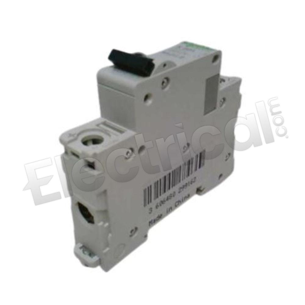MGN61871