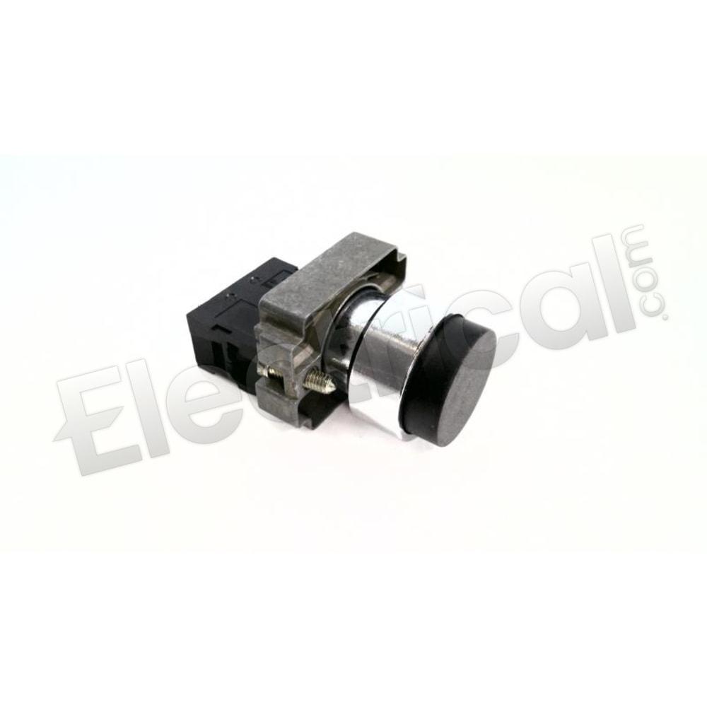 XB2-BL21